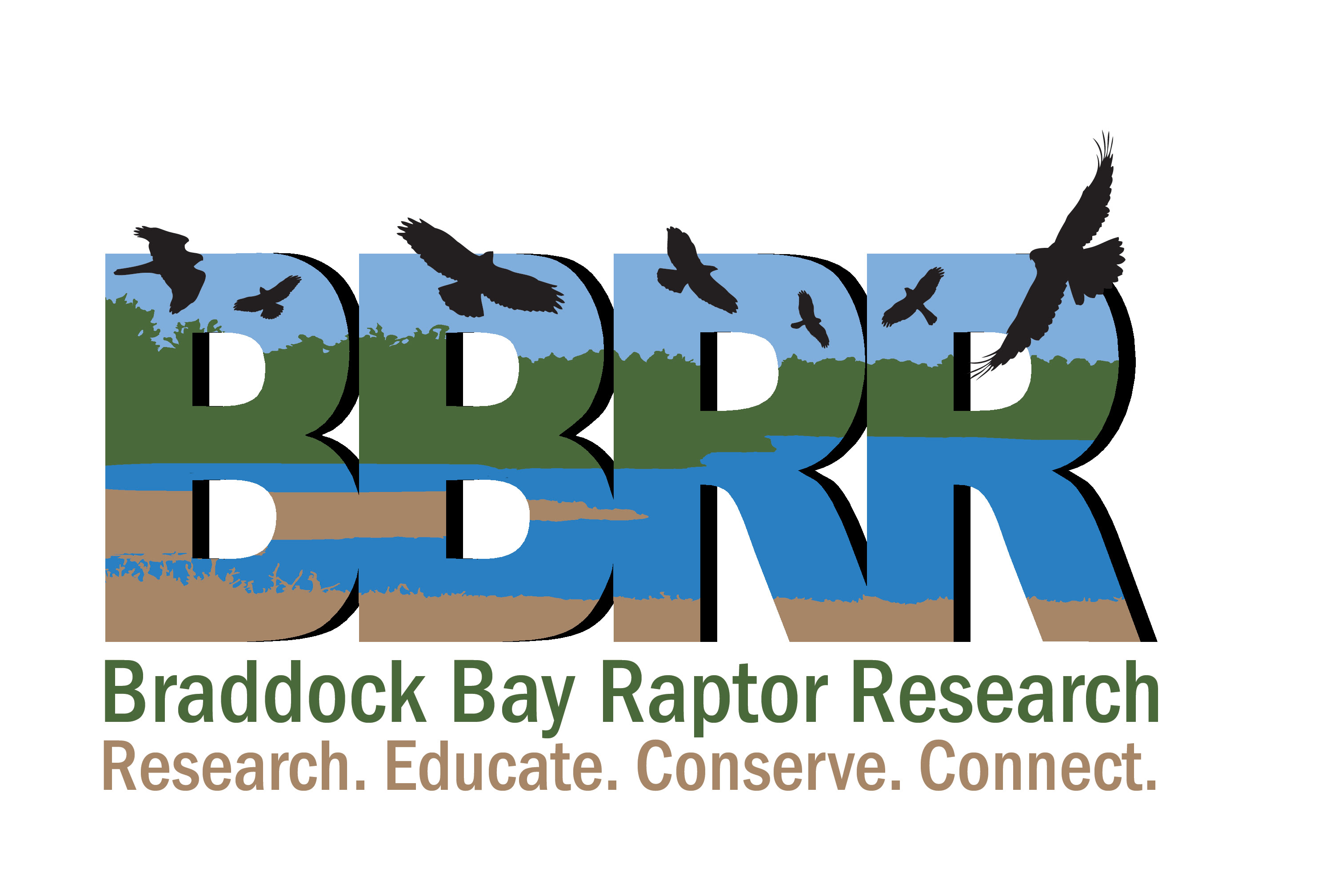 Braddock Bay Raptor Research