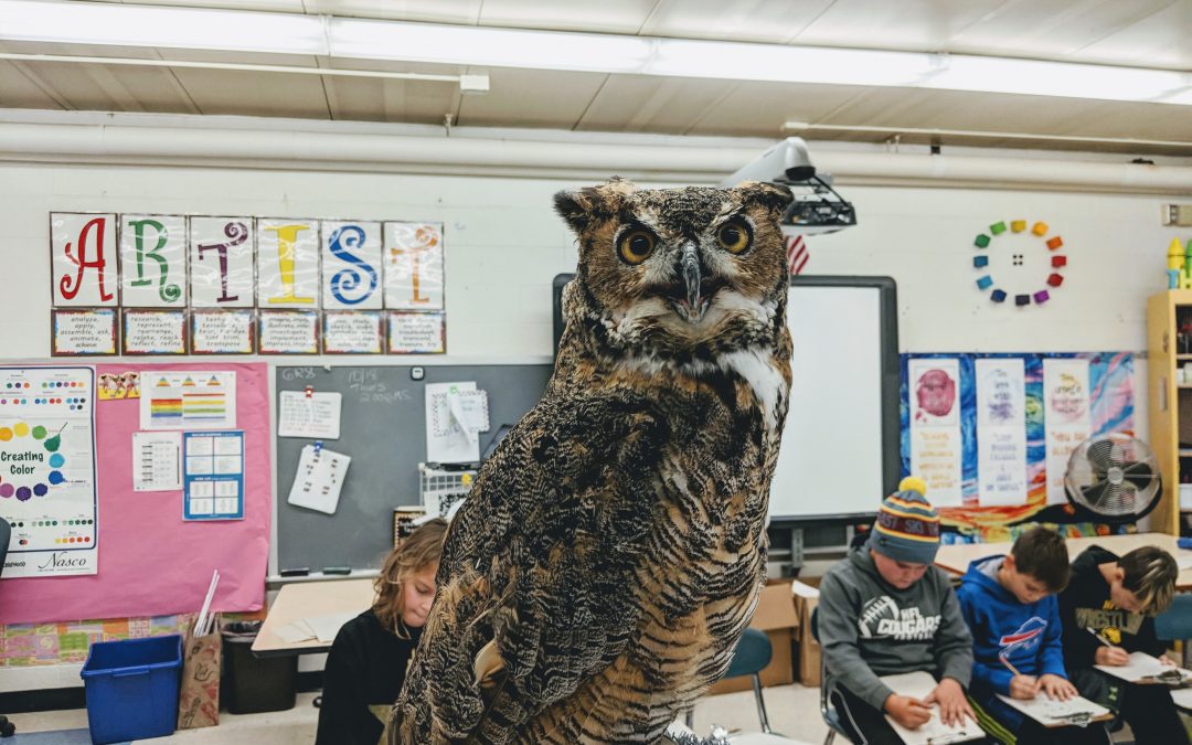 Raptors in Art Class