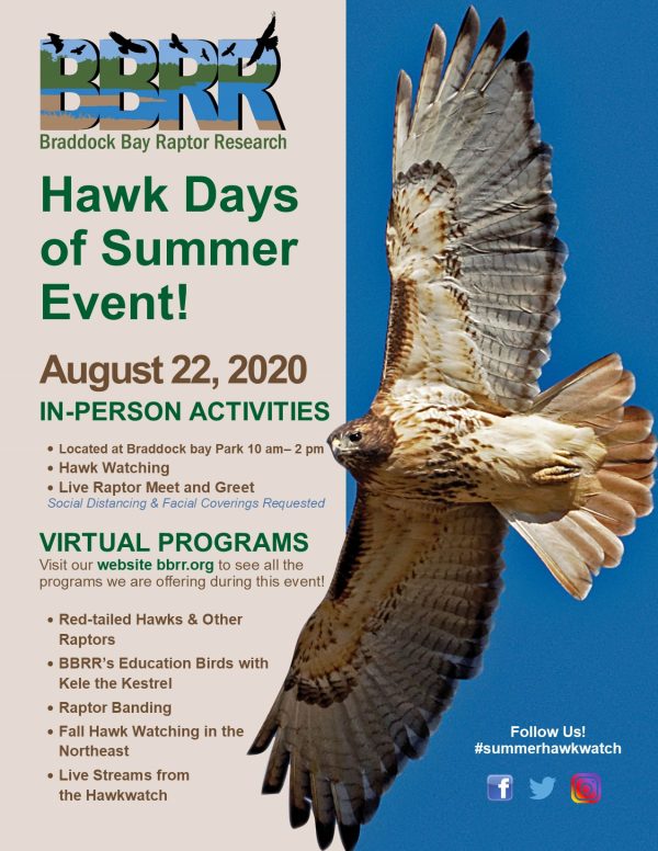 BBRR Hawk Days of Summer 2020 Flyer