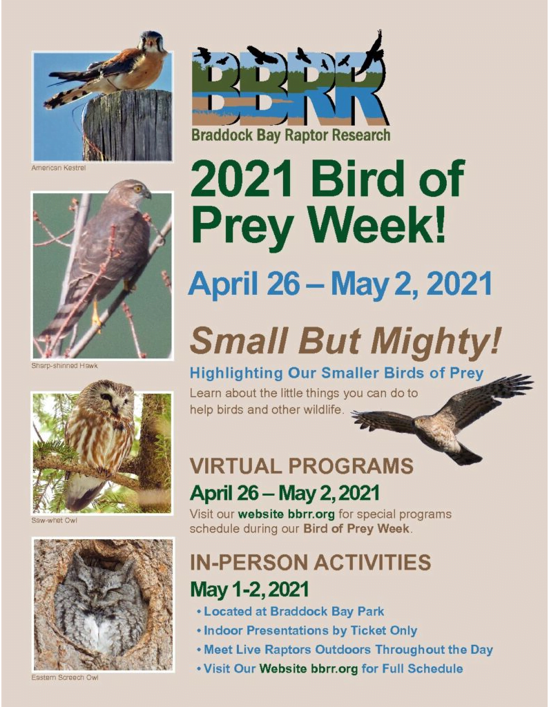 2021 Bird of Prey Week Flyer