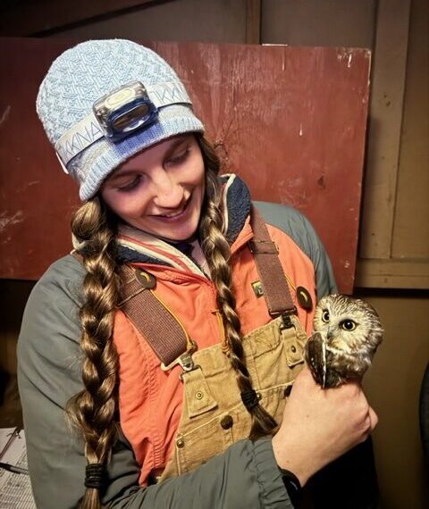 Internship Offerings for Spring 2026